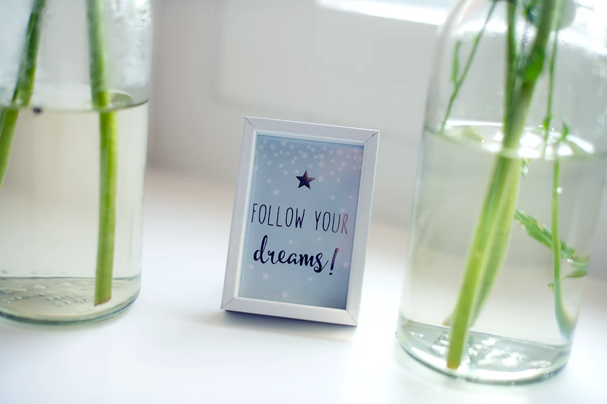 Puurwijs_follow your dreams Puurwijs_Schooluitval en hoogsensitiviteit
